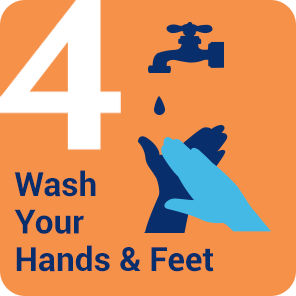 Wash Your Hands &amp; Feet